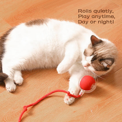 🐾Christmas Special offer! 🐱🐶Smart Automatic Rolling Pet Ball