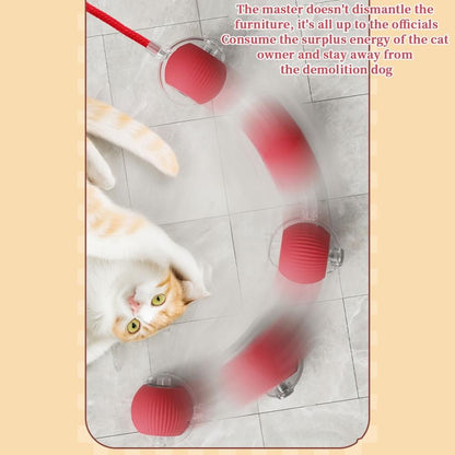 🐾Christmas Special offer! 🐱🐶Smart Automatic Rolling Pet Ball